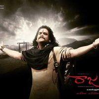 Rajanna Movie Wallpapers | Picture 116897